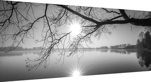 Qiaoqoo 5D Diamond Painting Baum, DIY Diamant Painting Bilder Landschaft, Diamand Painting Erwachsene Groß xxl, Kinder Diamant kunst Set mit Diamond Painting Zubehör, Home Wand Décor 100x40cm