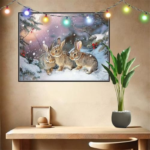 Malen nach Zahlen Erwachsene Tier,Kaninchen,Paint by Numbers Knitterfreie Leinwand Kit für Anfänger,DIY Basteln Acrylfarbe Handgemalt Ölgemälde Kit für Wand Dekoration Weihnachten Geschenk 30x40cm