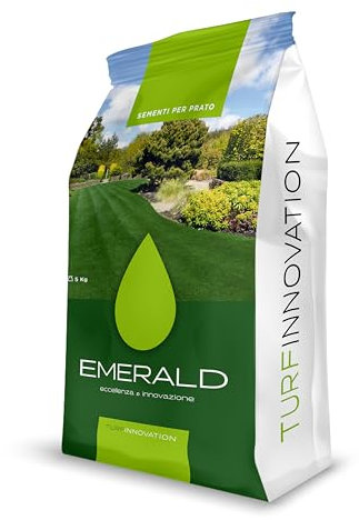 Emeraldgreen AGGRESSIVE 9010, Semi per Prato, Alta Tolleranza a Calpestio e Siccità, Adatto per Zone Soleggiate, alta Resistenza a Malattie e siccità, 5kg (200mq)