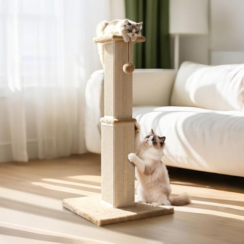 Zvonema Klösträd, 78 cm hög, klöstolpe av naturligt sisal och resistent tyg, klösträd för katter 11,5 cm stam, klösstam för små och medelstora katter, stabil bas 37 x 37 cm, med lekboll