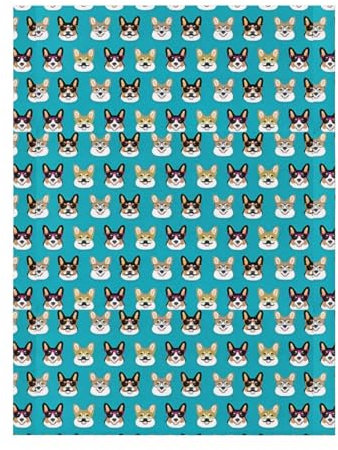 MYGANN Hunde-Waschlappen, leicht, warm, 240 g, für Bett, Sofa, Büro, Reisen, Heimdekoration, 203 x 152 cm