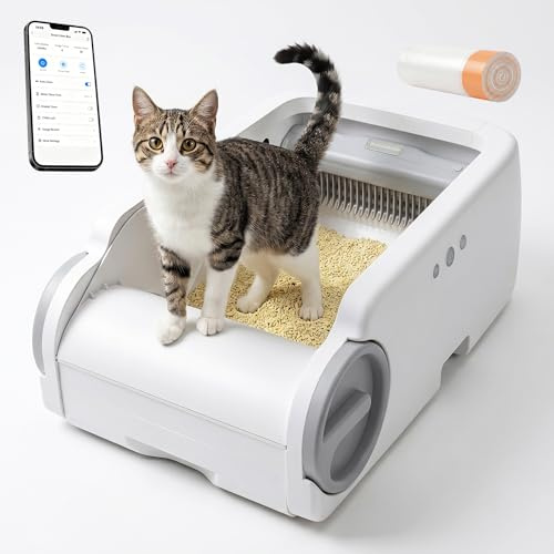 Betulabulo Self Cleaning Cat Litter Tray - Open-Top Design for Multiple Cats, Automatic Litter Box with APP Control, Safety Sensors, Automatic Cleaning, Quiet & Easy Maintenance
