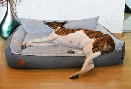 BORN2REST Orthopädisches Hundebett Rocky Visco-Matratze Hundsofa L-XXL für große Hunde maschinenwaschbar Europäischen Union hergestellt (Grau, XXL 133 x 114)