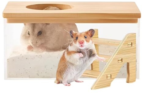 Generisch Hamster Badesandbehälter Staub Badebox Transparente Hamsterbox Zum Sandbaden Kleintiertoilette Rennmaus Badezimmer Mit Leiter Für Schlafzimmer Wohnzimmer