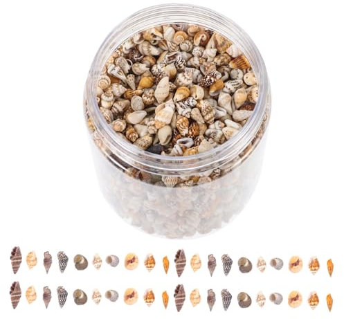 Angoily 1 Schachtel Muscheln Ornamente Aquarienschmuck Für Aquarien Klar Für Vase Strand Schwebend Dekorationen Tank Schalen Für Das Handwerk Aquarium-muschel-dekoration Hülse