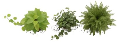 DECOALIVE Set Verde Natural Helecho, Hiedra y Poto Plantas Colgantes que Purifican el Aire