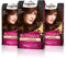 Palette Intensive Creme Color 5-68 Castaño Claro Rojizo, tinte permanente con aceite de macadamia y almendras, cubre el 100% de las canas y raíces, para un pelo radiante, Pack 3
