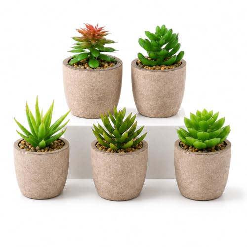 BPIL Artificial Succulent Plants Set – 5PCS Mini Faux Plants in Pots 3x3cm | Indoor Home Living Room and Office Desk Table Decor Green