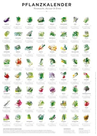 531 Rheinland Design Pflanzkalender und Aussaatkalender für den Garten, Aussaatzeiten für 64 verschiedene Gemüsesorten als Poster in Farbe mit und ohne Rahmen (50 x 70 cm, Im Holzrahmen)