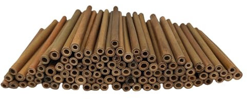 Insektenhotel Füllmaterial,100 Stück 15 cm Lang, Füllung Bienenhotel, Bambus Nisthülsen Für Wildbienen, Bambusröhrchen Für Insektenhotel,DIY Insektenhaus