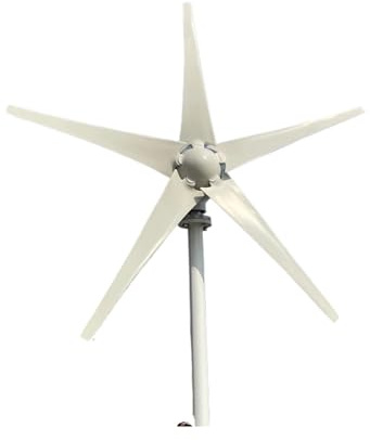 QZCX Aerogenerador Eolico, Kit de nerador de turbina eólica, Molinos de Viento, 3000W, 12V, 24V, 48V, 5 aspas, Uso doméstico(48V_3000W)