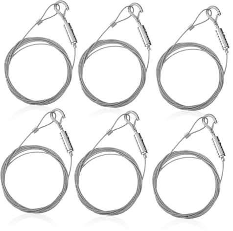 NUOBESTY 6pezzi Filo Per Appendere Quadri Filo Resistente Per Quadri Corda in Acciaio Inox Per Appendere Opere d Arte Gancio Di Sicurezza Per Cornici Strisce Per Pesi Pesanti