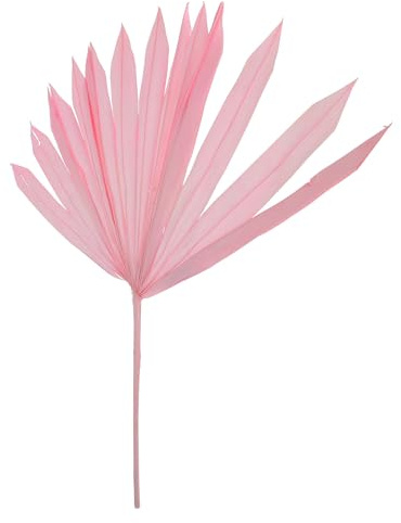 Amosfun Adorno de Hoja de Palma Seca Natural en Color Rosa, Hoja Decorativa para Bricolaje, Decoración de Paredes y Fiestas, Material para Arreglos y Decoración del Hogar