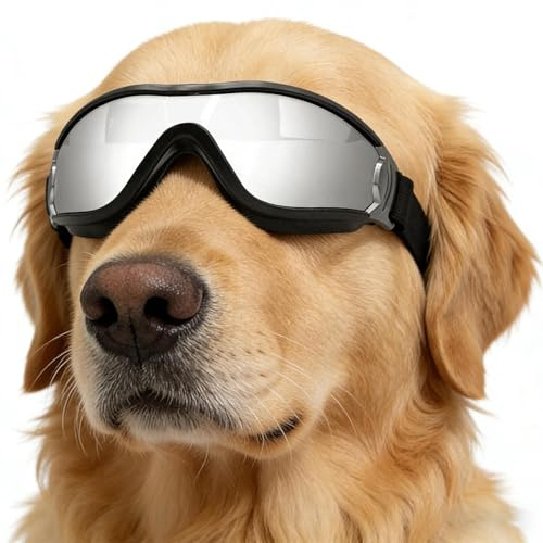 Sonnenbrille für Hunde - Winddichter und beschlagfreier Augenschutz für Haustiere,Schutzbrillen für Hunde - für Zuhause, drinnen & draußen, Camping, Wandern Klein Groß Welpen