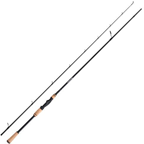 SHIMANO Angelrute Spinnrute - Beastmaster FX Predator 300H 3m 21-56g