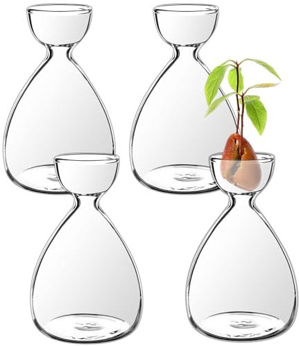 cenryusa Kleine Avocado-Samen-Startervase, Avocado-Baum-Anzuchtvasen-Set, Avocado-Samen, Sprossen, Startervase, Pflanzgefäß, einfaches Samen, Sprossen-Starter, Geschenk, Pflanzglas, Geschenk für