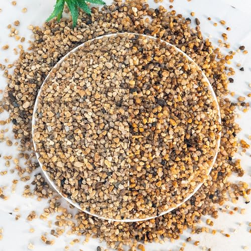 VINICS Gravier d'aquarium de 2,3 kg, gravier d'aquarium de 2 à 4 mm, gravier de cactus succulent pour plantes d'intérieur, roches de rivière pour jardinage, pots de fleurs, remplissage de vase,