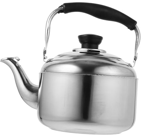 Bouilloire sifflante en acier inoxydable de 1 l avec bec étroit – Design durable et efficace sur le dessus de la cuisinière