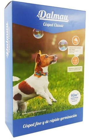 SEMILLAS DALMAU Semillas de Césped Resistentes, Mezcla Dalmau Clásica, el Clásico Césped Fino para Jardines, Mantenimiento Medio y Germinación Rápida, 1kg