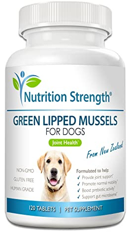 Nutrition Strength Green Lipped Mussels for Dogs for Joint Support & Inflammatory Relief, Promote Normal Mobility & Flexibility, Boost Prebiotic Activity, Support Gut Microbiome, 120 Chewable Tablets