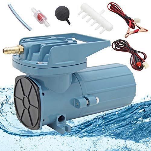 Hanchen Aquarium Sauerstoffpumpe 100L/min mit 10 Köpfe Verteiler Gewerbliche Luftpumpe für Angeln Sauerstoffversorgung Teich Belüftung | 12V/100W, mit Ø4mm Schlauch (20m) und 10 STK Luftsteine