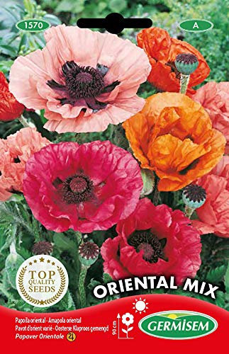Germisem Oriental Mix Semillas de Amapola 0.25 g, EC1570