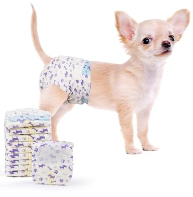 MICOOYO Disposable Dog Diapers Female, Doggie Diapers for Dogs Female, Super Absorbent Pet Diaper with Foam Tail Hole for Heat, Comfortable Puppy Diaper (20Count, X-Small)