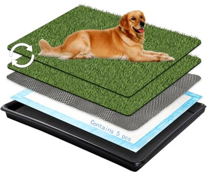 Choicons Hundegras-Pad mit Tablett, groß, 80 x 60 cm, großes Töpfchen, Haustiergras, für Wohnungs- und Terrassentraining, Außen- und Innengebrauch