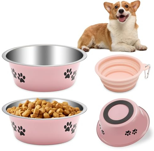 QANIUOS Hundenapf 2 Stück, Edelstahl Fressnapf Hund mit Rutschfester Silikonsohle, Metall Wassernapf Futternapf Hunde Napf für Kleine und Mittlere Hunde（860ML）