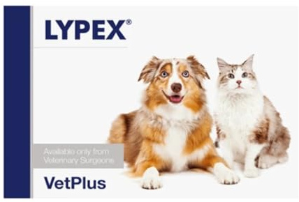 Vetplus Lypex Blister con 60 Comprimidos