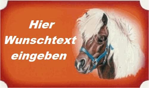 Türschild mit Namen oder Text selbst gestalten und personalisieren ✓ Kinderschild Familienschild Namensschild personalisiert ✓ 15,0cm x 8,5cm ✓ hochwertiges Aluminium und edler Gravur Pony Pferd