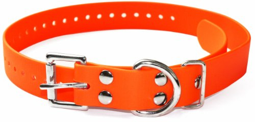 Educator Biothane Dog Collar, Waterproof, Odorproof, Metal Buckle and D Ring, Adjustable for Custom Fit, Cool and Comfortable, for Small, Medium, or Large Dogs, 1-Inch, Orange