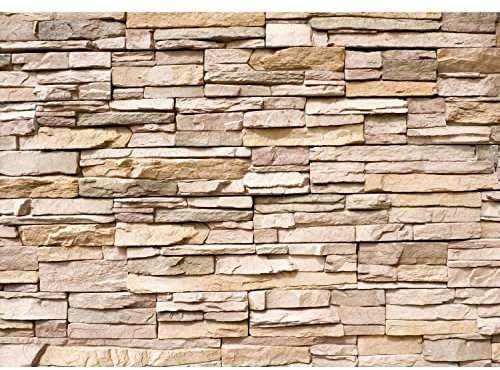 Runa Art Fototapete Steinwand 3D Effekt Modern Vlies Wohnzimmer Schlafzimmer - Made in Germany - 308 x 220 cm Braun 9019010b