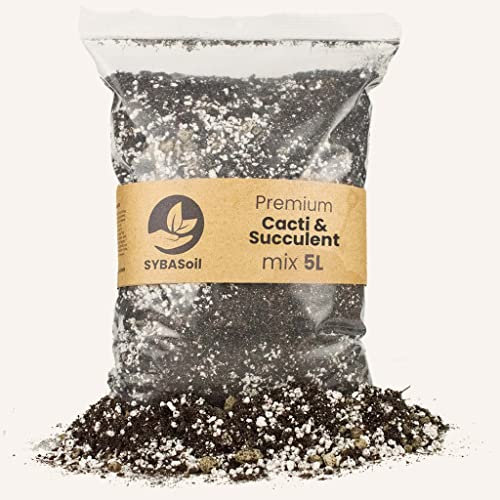 Sybotanica cactus e succulente mix 5l