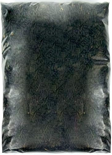 SQUAWK Graines de Tournesol Noir - Nourriture pour Oiseaux Sauvages Riches en Huile pour Jardin (1kg)