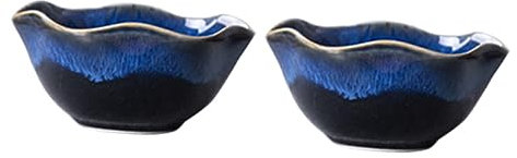 LIGIGWASH 2piezas Cuencos De Cerámica Cuenco De Sopa y Arroz Cerámica Pintada Mano Para Casa o Hotel