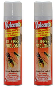 Nusipro - 2 aerosol, lunga portata 600 ml, anti-vespe e calabroni