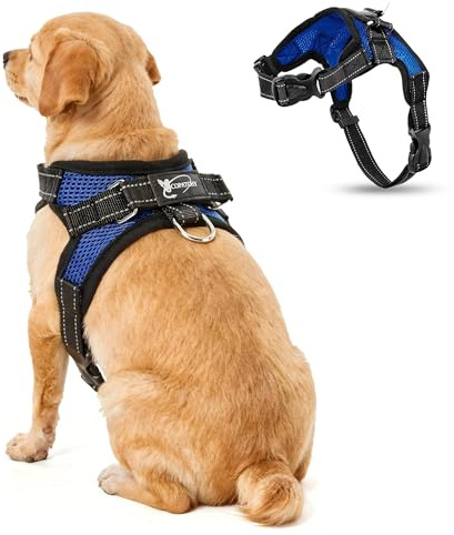 Copatchy No Pull Reflective Adjustable Dog Harness With Handle- Comfortable Soft All Weather Mesh, Easy On Puppy Harness For Small Medium and Large Dogs (Blue) Small