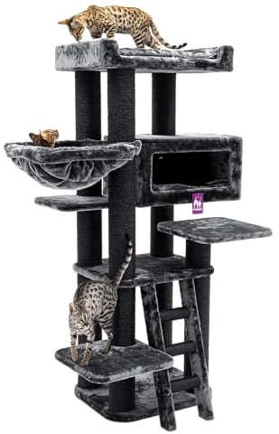 Petrebels Maine Coon Kratzbaum, Estate 170 cm, XXL Kratzbaum für große Katzen, Farbe Schwarz