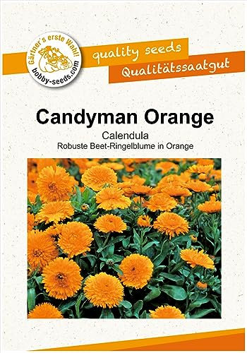 Blumensamen Candyman Orange Calendula Portion