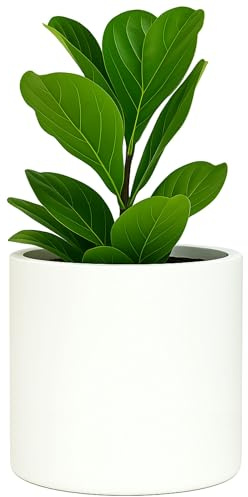Fox & Fern Übertöpfe, Blumentöpfe für den Innenbereich, für Zimmerpflanzen, passend für moderne Pflanzenständer von Mid-Century, Ablaufstöpsel und Untersetzer, Fiberstone, mattes Weiß, 30,5 cm