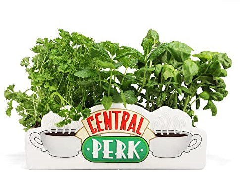 Friends - Collectable - Vases - Friends Table Top Vase - Central Perk