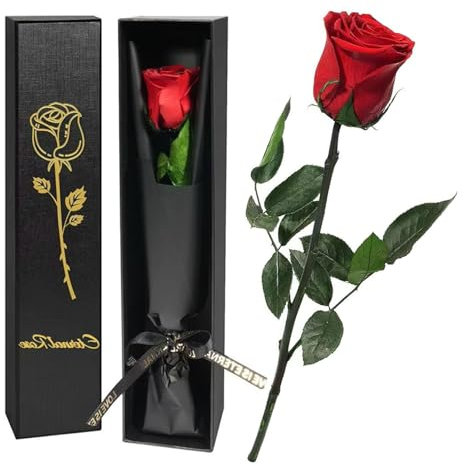 Jisrcha Infinity Rose in Geschenkbox, Weihnachten Geschenke für Frauen, Unendliche Rose mit Stiel, Künstliche Rosen Rot für Mama Ehefrau Freundin, Eternal Rose Geburtstagsgeschenk Jahrestag, Muttertag