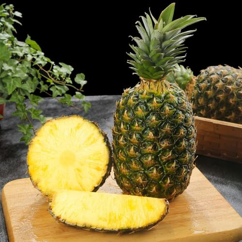 ananaspflanze topfpflanzen biosaatgut baumsamen steingartenpflanzen spalierobst obstsamen pflanzensamen zimmerpflanzen pflanzendeko säulenobstbäume bonsai kaufen bohnenkraut 130samen