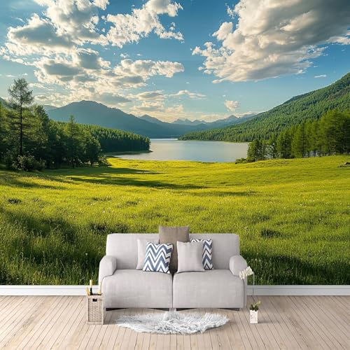 Carta Da Parati Effetto 3D Foresta Del Lago Di Prateria 300x256 cm Fotomurali Non Tessuto, Paesaggio Naturale Decorazione Poster Arte Murale Moderna per Casa Ufficio Camera Da Letto Soggiorno.