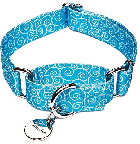 Dazzber Martingale-halsband med märkes metallmärke, hållbar hund- och katt-nylonkrage (extra liten, 13 cm bred, himmelsblå)