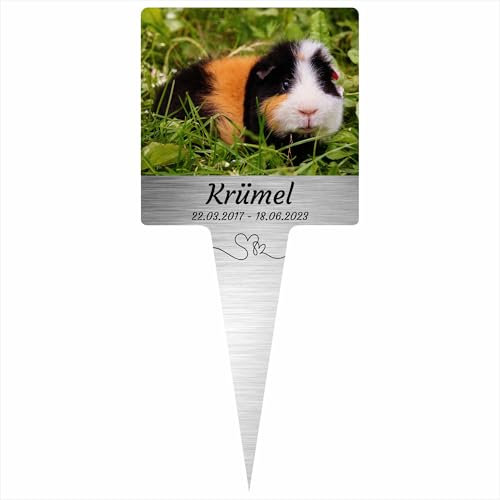 INDIGOS UG - Piquet funéraire pour votre animal de compagnie - Cochon d'Inde - 10 cm - Aspect acier inoxydable - Piquet commémoratif résistant aux intempéries - Personnalisable avec photo et texte -