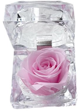 Rose véritable préservée dans une mini boîte à bague transparente, boîte à bijoux, cadeau éternelle, rose éternelle, cadeau pour anniversaire, Saint-Valentin, Noël, anniversaire