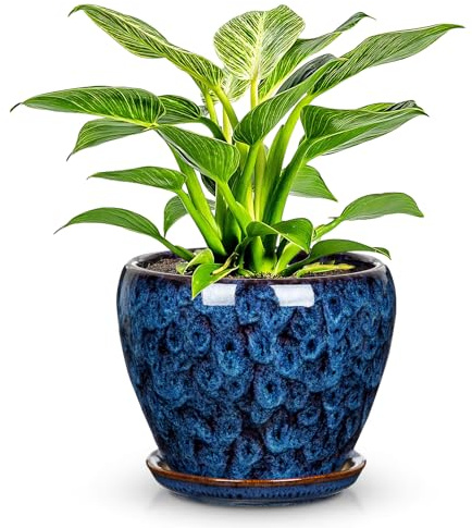 Maceta de cerámica Arborus de 11 cm con orificio de drenaje, macetero con bandeja, maceta azul de cerámica para plantas de interior, recipiente para plantar para hierbas, cactus, orquídeas, decoración
