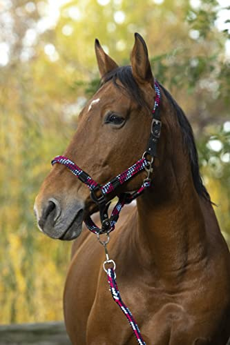 NORTON „Tressé“ Halfter und Führstrick, Warmblut, fuchsia/hellblau/marineblau